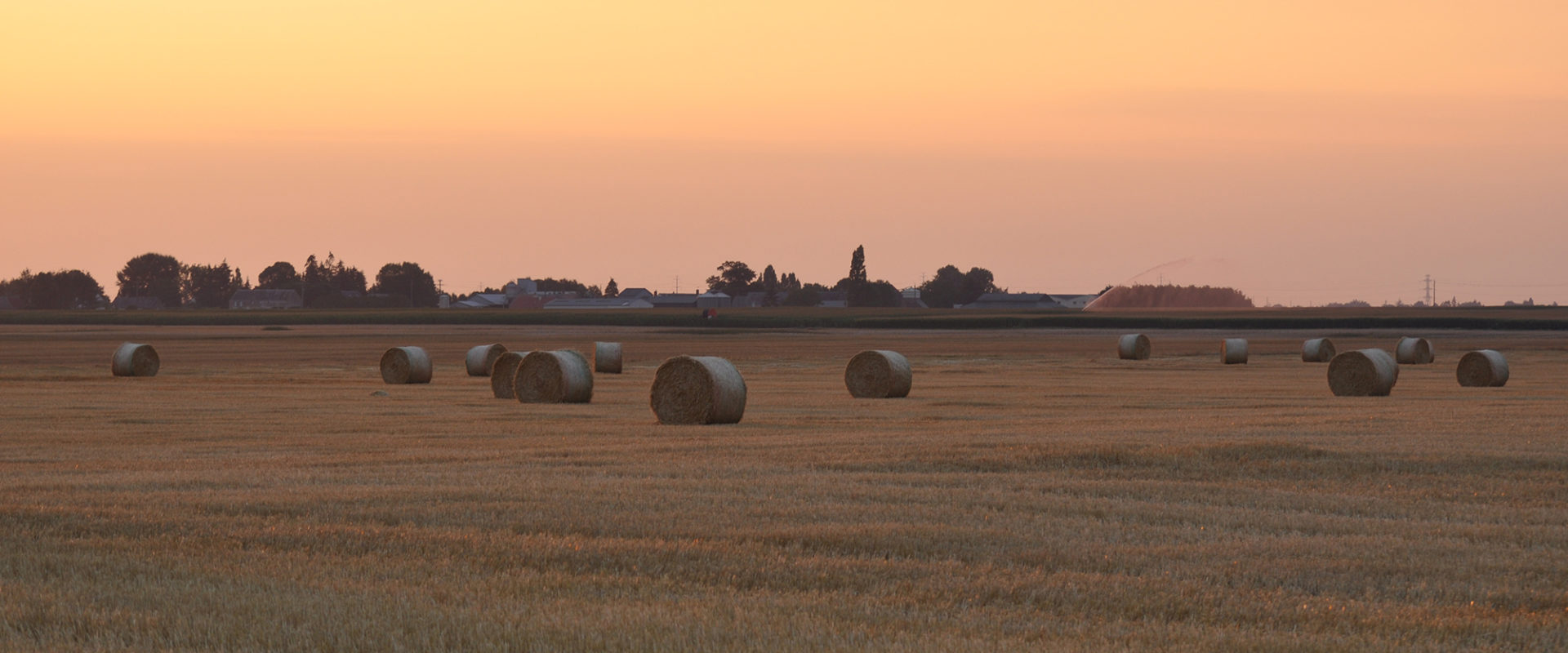 Levé de soleil près de Cravant dans le Loiret (45)