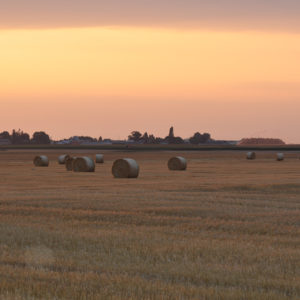 Levé de soleil près de Cravant dans le Loiret (45)