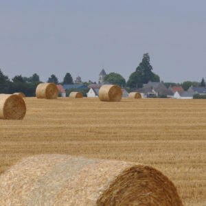 La commune de Cravant dans le Loiret en été