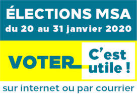 IMAGE ELECTIONS MSA 2020